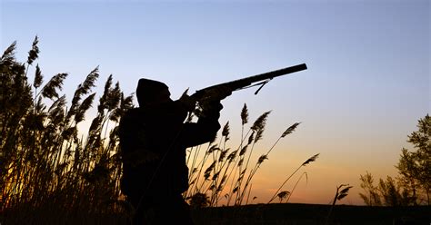 Decline In Hunting Threatens Conservation Funding College Of Natural