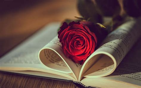 Download Wallpapers Red Rose In A Book Love Concepts Book Roses