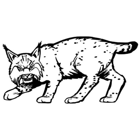 Pin On Bobcat Coloring Pages