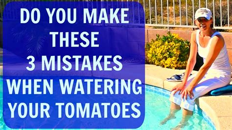 The obvious answer is too much water. Watering Tomato Plants & Signs Of Overwatering - How To ...