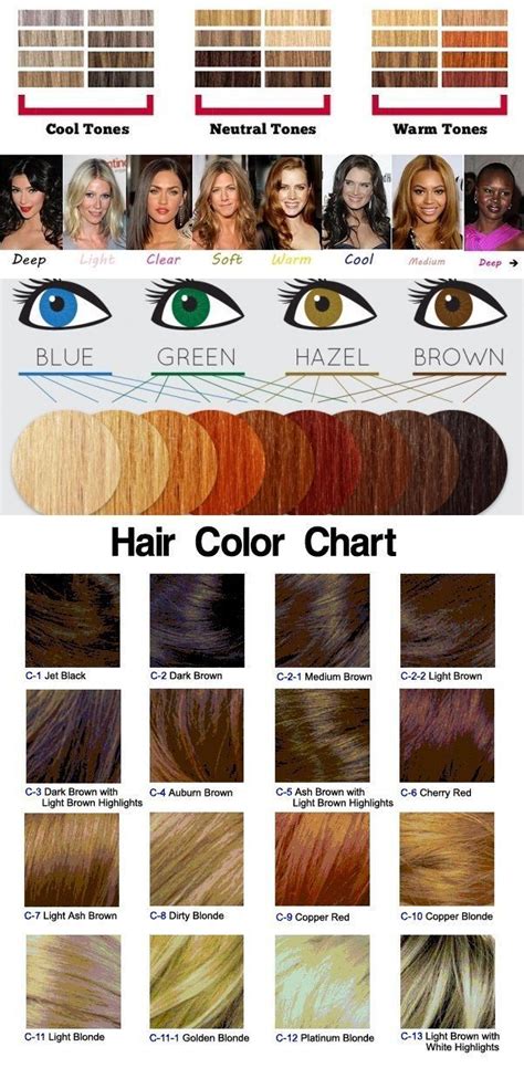 How To Choose The Right Hair Color Alldaychic Haarfarben Charts