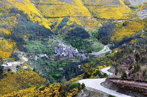 It is located west of arima , east of tunapuna and tacarigua , south of lopinot , and north of piarco. H&J | Arouca