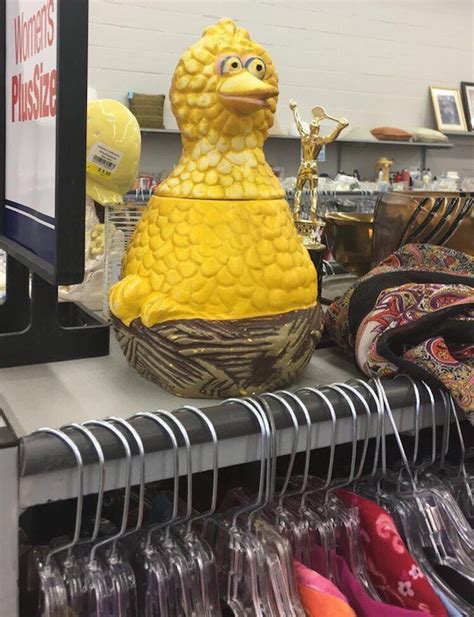 30 Crazy Finds From The Local Thrift Store Wtf Gallery Ebaum S World