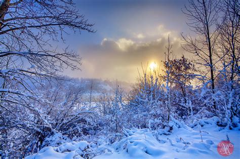 Winter Wonderland — Miksmedia Photography