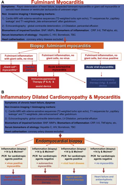Treatment for myocarditis depends on the cause. (A) Diagnostic and therapeutic algorithm in fulminant ...