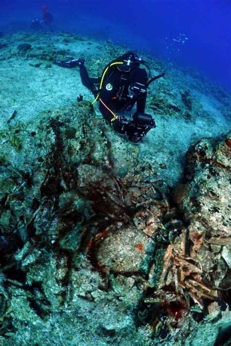 Ancient Shipwrecks In Aegean Sea Investigated Archaeology Magazine