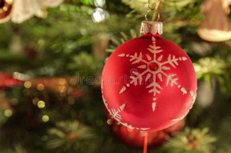 Red Christmas Decoration On Snow Covered Pine Tree Outdoors Stock Image