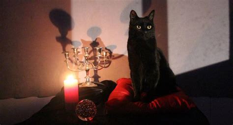 Sabrina En Netflix Primera Foto Del Nuevo Salem El Gato Negro De La