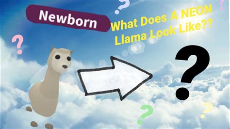Making A Neon Llama In Adopt Me Youtube