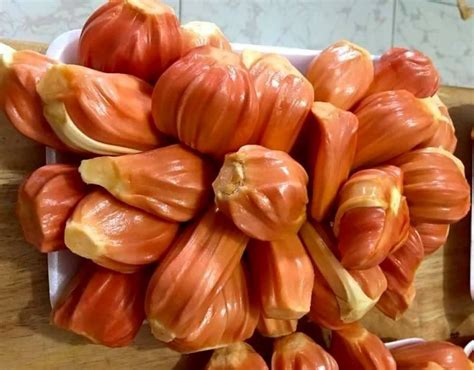 Red Fleshed Jackfruit A Highly Prized Fruit In Vietnam Cuisine Of