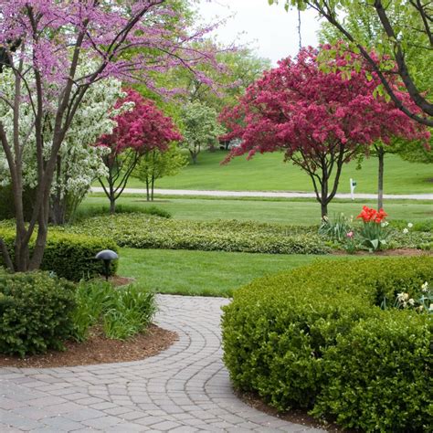 Maybe you would like to learn more about one of these? Dwarf Ornamental Trees & Shade Trees for the Landscape