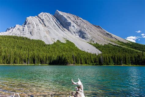 Peter Lougheed Pp Elbow Lake © D Vujnovic Alberta Parks Flickr