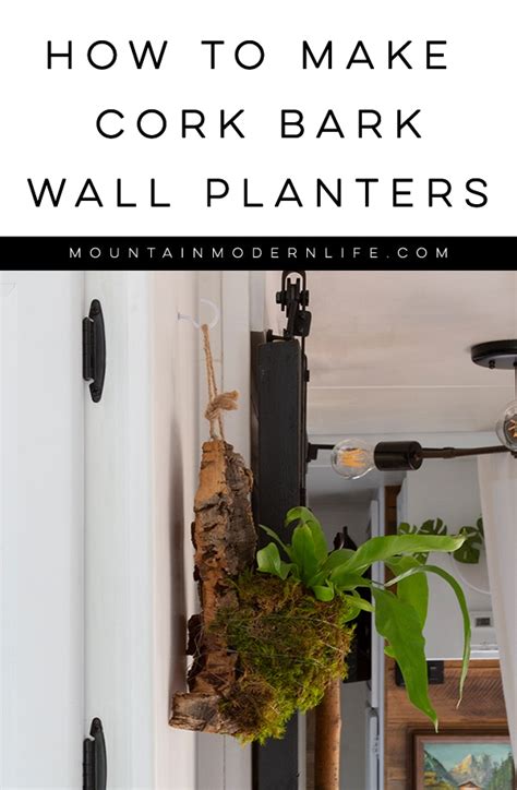 How To Make Hanging Wood Planters With Cork Bark In 2021 Wood
