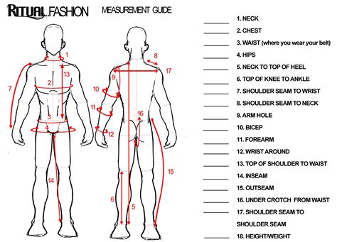 Printable Male Body Measurements Chart