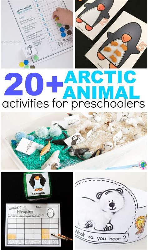 20 Arctic Animal Printables For Preschoolers Stay At Home Educator