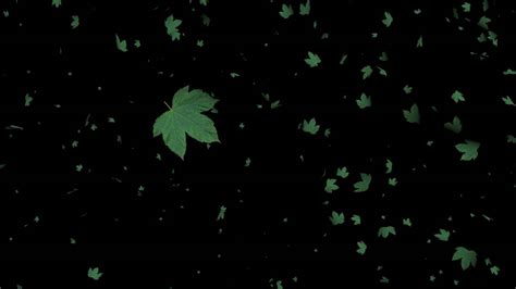 Some colors frequently clash or distract in a frame and using the black and white effect can keep the focus on your subject, where it belongs. Tree Leaves Falling Animation-Black Screen Effect - YouTube