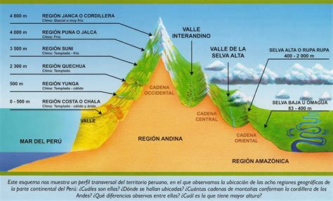 Social Site Las 8 Regiones Naturales Del Perú Esquema Gráfico