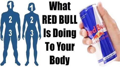 what happens to your body after drinking red bull youtube