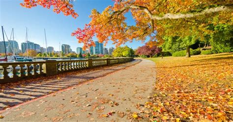 10 Best Destinations To See Colorful Fall Foliage In Vancouver