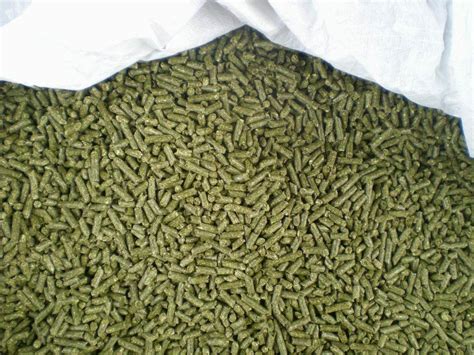 Alfalfa Pellet Animal Feed Tradekorea