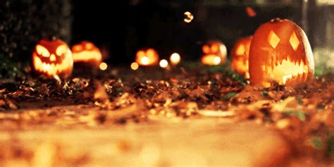Popular Halloween  Halloween Pumpkin Jackolantern Discover