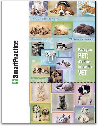 Rachael Hale Assortment 6 3 Up Laser Card SmartPractice Veterinary