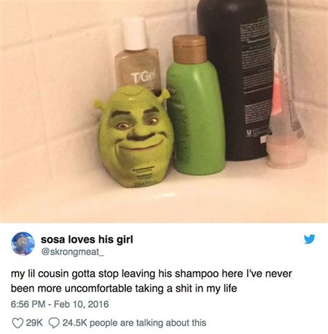 Shrek Memes Dirty