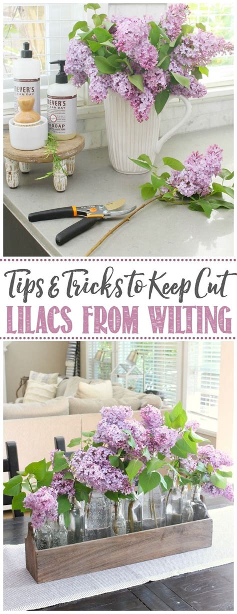 Each method listed should be. How to keep your lilacs (and other cut flowers) from ...