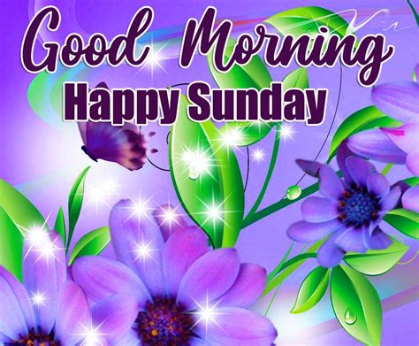 145 Happy Sunday Good Morning Wallpaper Download