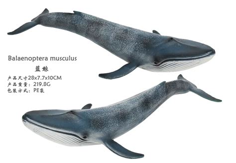 Original Ocean Sealife Animals Sets Bule Whale Shark Jaws Tiger Whale