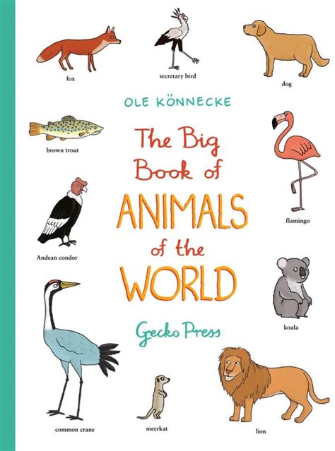 Kids Book Review Review The Big Book Of Animals Of The World