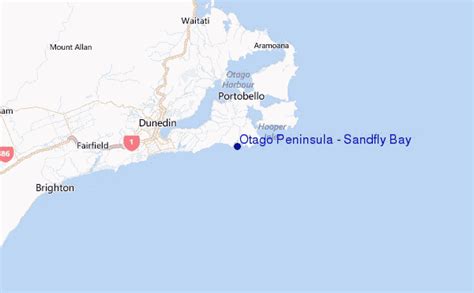 Otago Peninsula Sandfly Bay Surf Forecast And Surf Reports Otago New Zealand