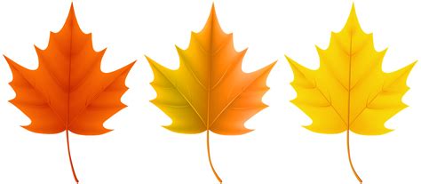 Fall Leaves Clipart Transparent Clip Art Library