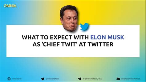 What To Expect With Elon Musk As ‘chief Twit At Twitter