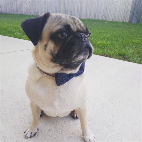 My name is Zeke : r/ZekeAndZoe