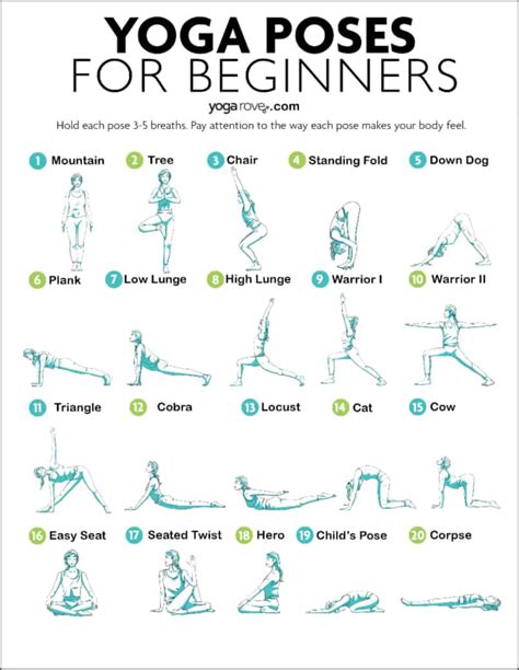 12 Basic Yoga Poses Beginners Yoga Poses