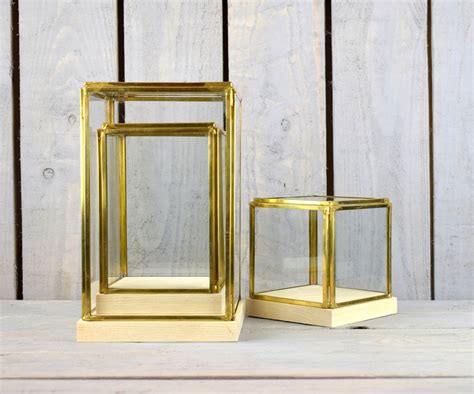 Glass And Brass Display Showcase Box Dome With Wooden Base Tall