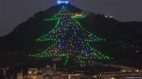 The Worlds Largest Christmas Tree — Sg Travel