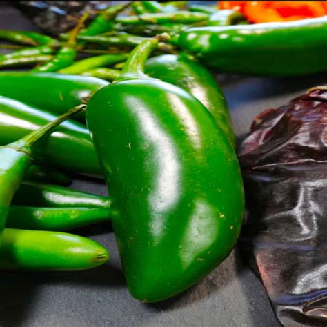 How Hot Are Jalapeno Peppers Online Offer Save 61 Jlcatj Gob Mx