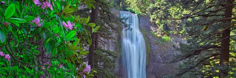 Top Waterfall Trails In The Willamette Valley Travel Oregon