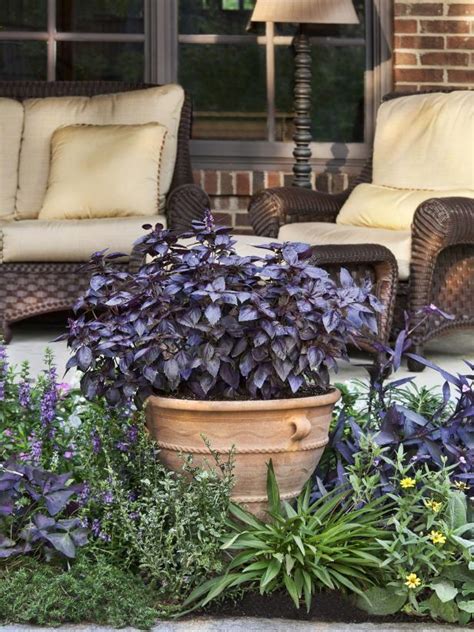 (in addition, flowers arejust an added bonus with herbs, whereas flowerless pansy plants usually make me feel like a failure). Plant Purple Flowers and Plants in Your Garden | HGTV