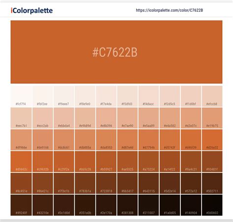 Pantone 16 1448 Tpx Burnt Orange Color Hex Color Code C7622b