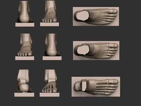 Foot Reference 3d Model Stl 4 Anatomy Art Print Models Stl 3d Printing Character Reference