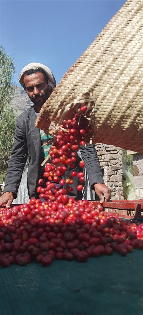 Yemen Coffee
