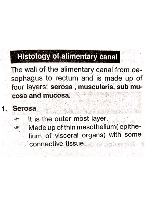 Histology Of Alimentary Canal Muscularis Sub Mucosa Mucosa Salivary