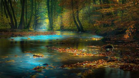 Autumn Landscape Forest Trees Mountain Stream River Fall
