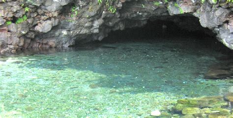 Apia Piula Cave Pool Fatumea Pool Samoa Piscine Naturelle Apia