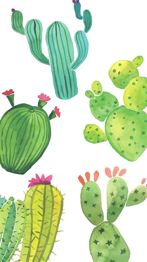 🔥 13 Cute Cactus Wallpapers Wallpapersafari