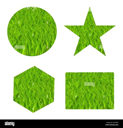 Grass Texture Within Different Shapes Stock Vector Image And Art Alamy