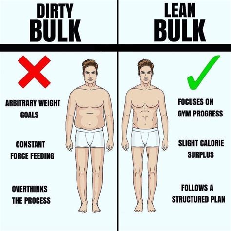 Dirty Bulk Vs Clean Bulk What Is Better Pros And Cons